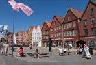 See Bergen from your bike