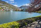 Martin´s City Walking Tour