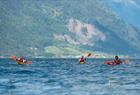 Guided Sea Kayak Tour on the Hardangerfjord