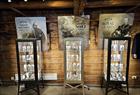 Norsemen Historical Miniatures