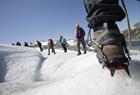 Guided glacier hiking