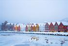 Bryggen on a snowy day