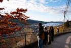 Looking out over Bergen