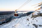 Ulriksbanen Cable Car takes you to Skyskraperen Restaurant