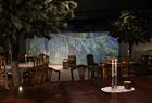 Eat between birch, pine and spruce