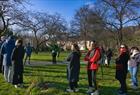 Guided city walk through Bergen