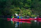 Guided kayak trip in Øygarden