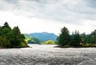 1-hour fjord safari in a RIB-boat to Alverstraumen