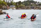 Guided kayak trip