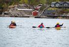 Guided kayak trip