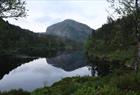 Træet gård - Osterøy