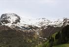 Guided cider tour along the Hardangerfjord