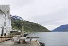 Guided cider tour along the Hardangerfjord