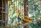 High ropes park