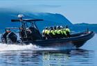 Fjord tour to Mostraumen in premium RIB