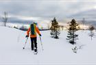 Snowshoe Hiking with Norway Mountain Guides