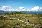 Voss Resort is a great starting point for hiking in the mountains