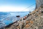 The Sherpa stairs up Ulriken