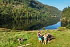 Kossdalen