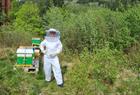 Supporting Bergen's initiative to adapt beekeeping practices for climate change mitigation.