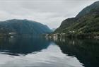 Fjord safari on the Hardangerfjord in a fast paced RIB-boat