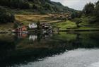 Fjord safari on the Hardangerfjord