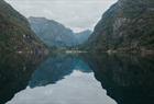 The majestic Hardangerfjord