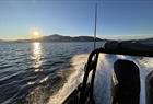 Fjord tour to Mostraumen in premium RIB