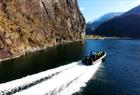 Fjord tour to Mostraumen in premium RIB