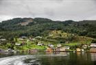 Fjordcruise at the Hardangerfjord