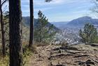 Guided mountain hike in Bergen including lunch