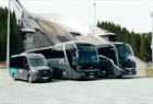 Large selection of buses