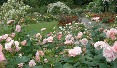 The arboretum and botanical garden