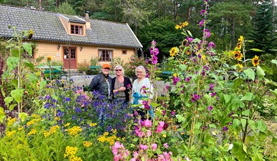 The arboretum and Bergen botanical garden