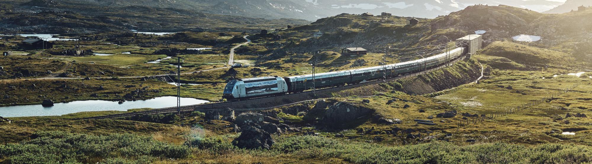 The Bergen Railway (Bergensbanen)