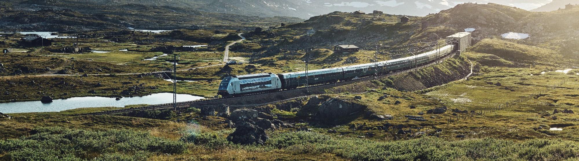 The Bergen Railway (Bergensbanen)