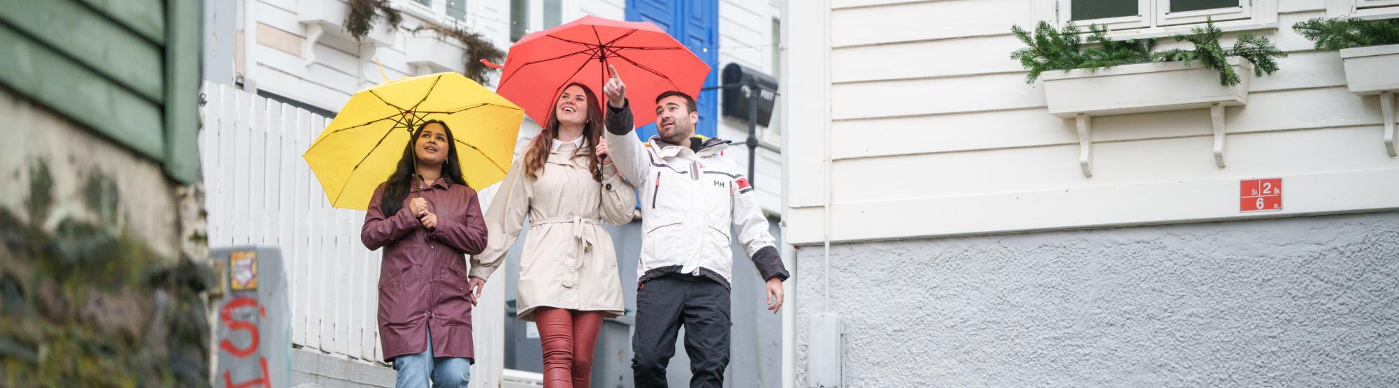 Book a guide in Bergen