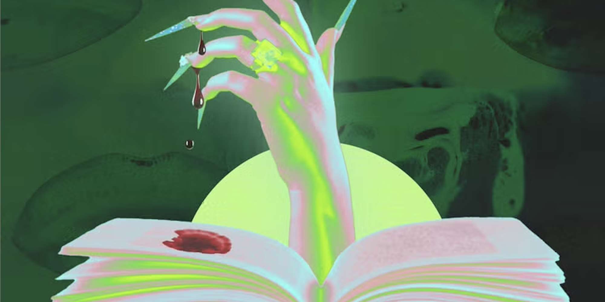 Feminist Horror Feminist Horror