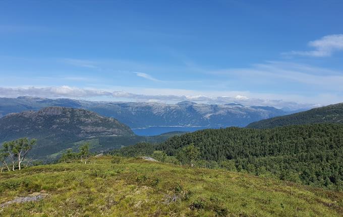 Mountain hike along the Bufærveg in Hardanger
