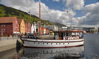 The Fjords - fjordcruise and fishing on your own!