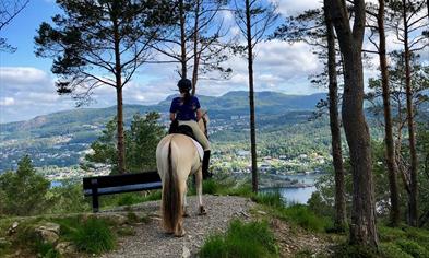 Unique riding tour in the mountains surrounding Bergen city centre