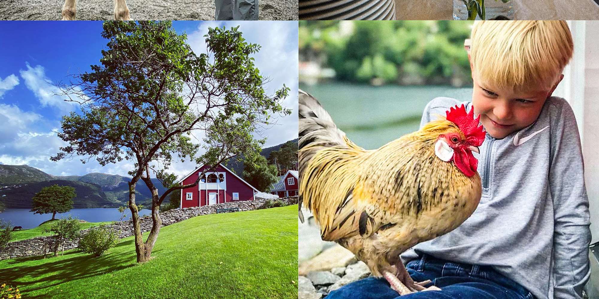 Product Image Product Image