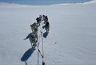 Half day dogsledding at Folgefonna glacier