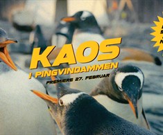 Filmpremiere "Kaos i pingvindammen"