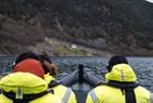 Fjord safari with RIB-boat on the Hardangerfjord from Rosendal