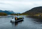 Fjord safari with RIB-boat on the Hardangerfjord from Rosendal
