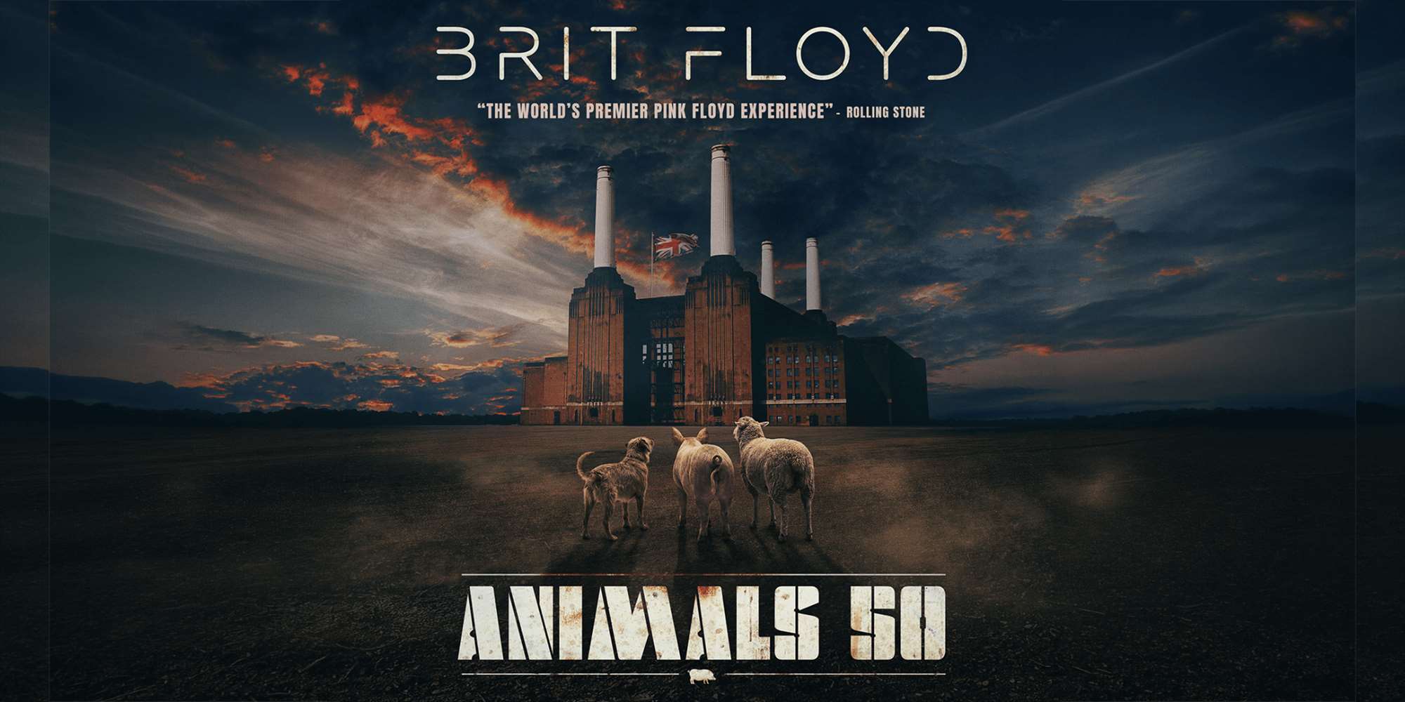 BRIT FLOYD – ANIMALS 50 BRIT FLOYD – ANIMALS 50