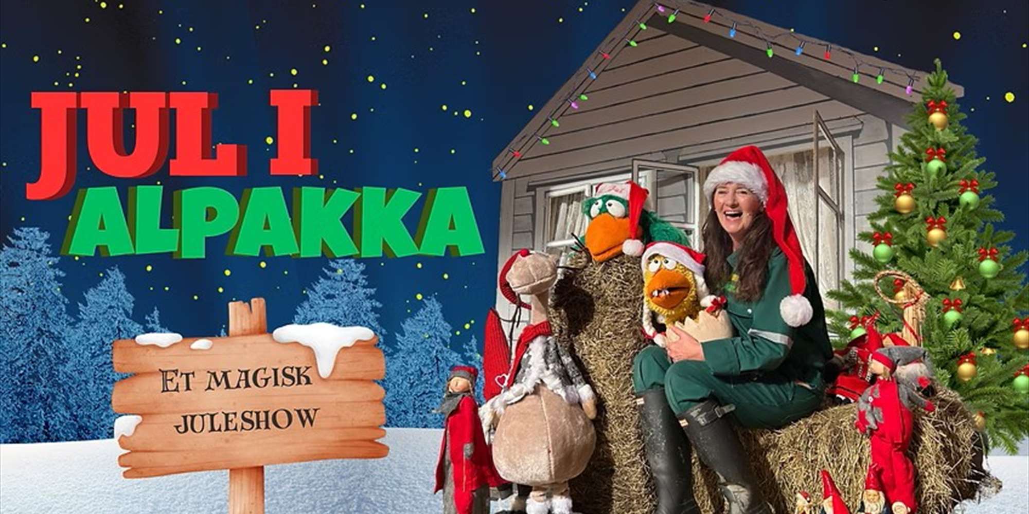 EN MAGISK JULEFEIRING I ALPAKKA PARKEN EN MAGISK JULEFEIRING I ALPAKKA PARKEN